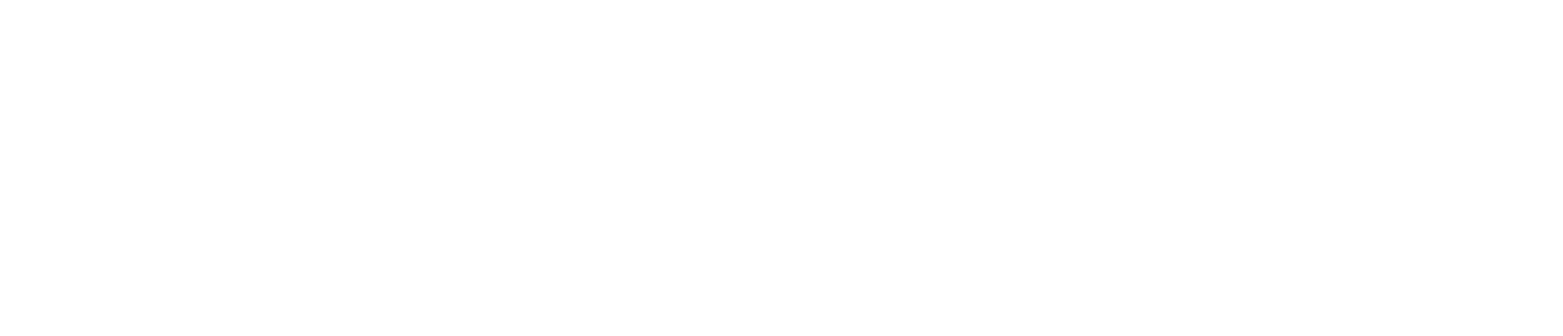 Wilmington Trust Logo